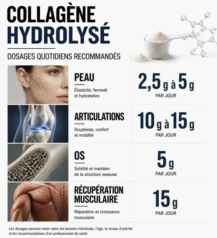 Tableau récapitulatif des dosages de collagène par jour selon les objectifs de santé
