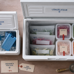 Différence freezer congélateur : températures et conservation -18°C