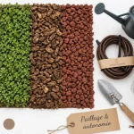Parterre devant maison sans entretien : paillage et couvre-sols pour jardin autonome